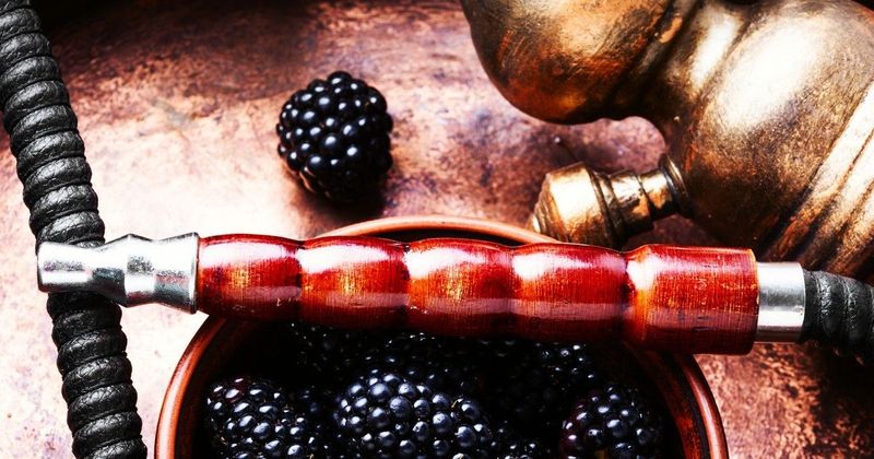 Fekete szeder: Az egészség titkos fegyvere a kertedben!