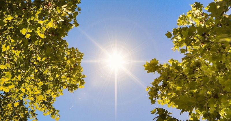 Vasárnaptól szokatlan időjárás várható, sokakat meglephet a hőmérséklet változása